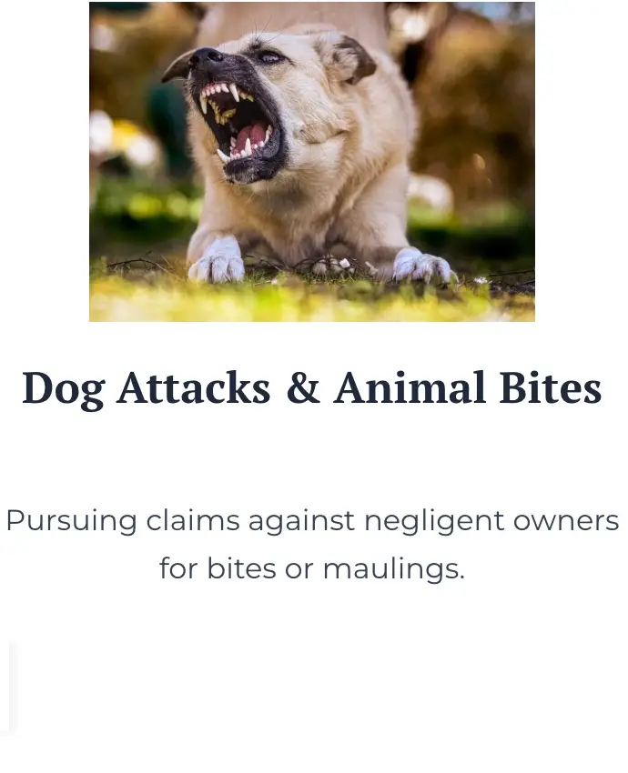Virginia personal injury attorney, dog bite lawyer near me
